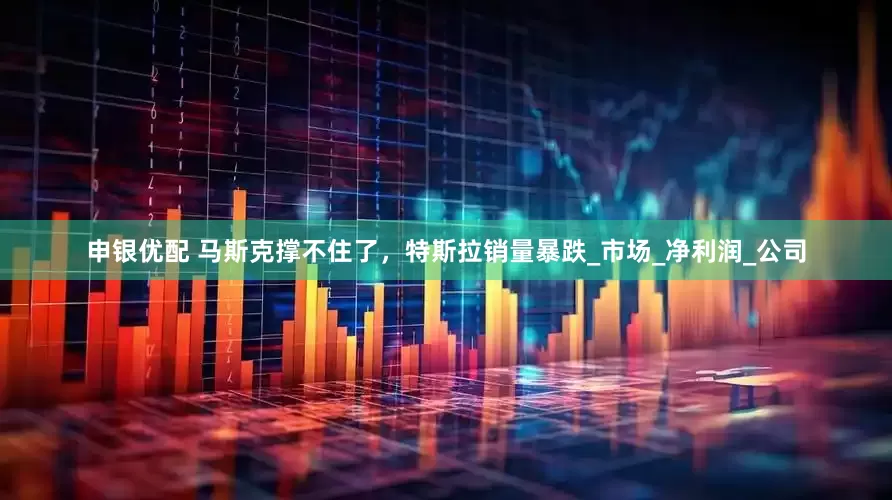 申银优配 马斯克撑不住了，特斯拉销量暴跌_市场_净利润_公司