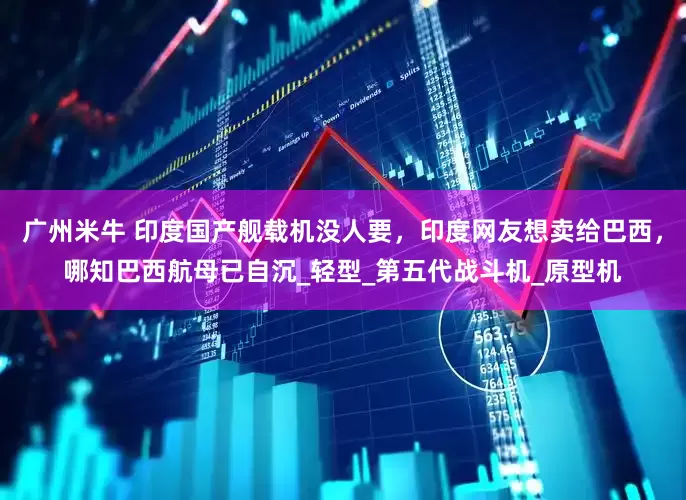 广州米牛 印度国产舰载机没人要，印度网友想卖给巴西，哪知巴西航母已自沉_轻型_第五代战斗机_原型机